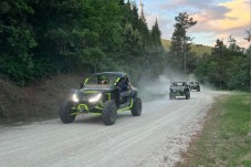Balade en buggy dans la vallée du Douro