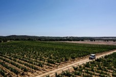 Dégustation de vins, visite de la cave et safari à Alentejo pour 2