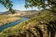 Tour guidé road trip dans la vallée du Douro - 2 Personnes