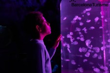 Aquarium of Barcelona - adult 