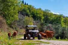 Aventure en buggy 4x4 dans le Gerês (Parc National de Peneda - Geres)