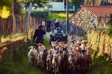 Balade en quad dans le Parc national de Peneda-Gerês