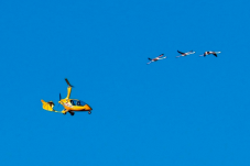 Vol en ULM - Algarve, Portugal