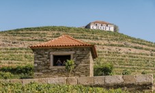 Visite de la Quinta da Roêda et Dégustation de Vins pour 2 personnes
