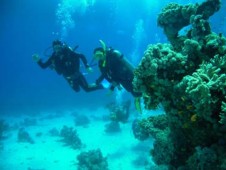 Baptême de plongée avec bouteille + tour en bateau à Sesimbra p / 2