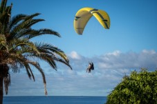 Overfly Tenerife Parapente 