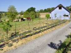 Relais Milord - 2 Nuits avec Petit Déjeuner pour deux (64)
