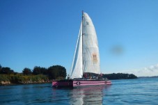 Croisière demi journée découverte du Golfe du Morbihan