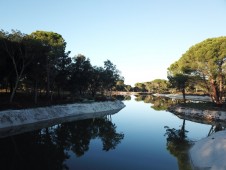 Tour en buggy tout-terrain à Comporta
