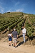 Visite de la Quinta da Roêda et Dégustation de Vins pour 2 personnes