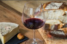 Dégustation de vins et de fromages - Bordeaux (33) 