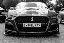 Pilotage 4 tours Ford Mustang Shelby GT500