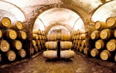 Immersion à la Herdade do Rocim avec déjeuner alentejano pour 2