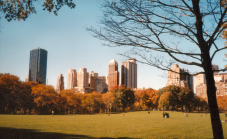 Central Park Visite Guide 