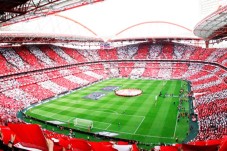 Pack SLB - Stade & Musée + une écharpe - 1 ticket pour la visite du Musée Benfica Cosme Damião