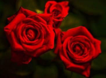 Cadeau de Saint Valentin - Faites le plein d'idées !